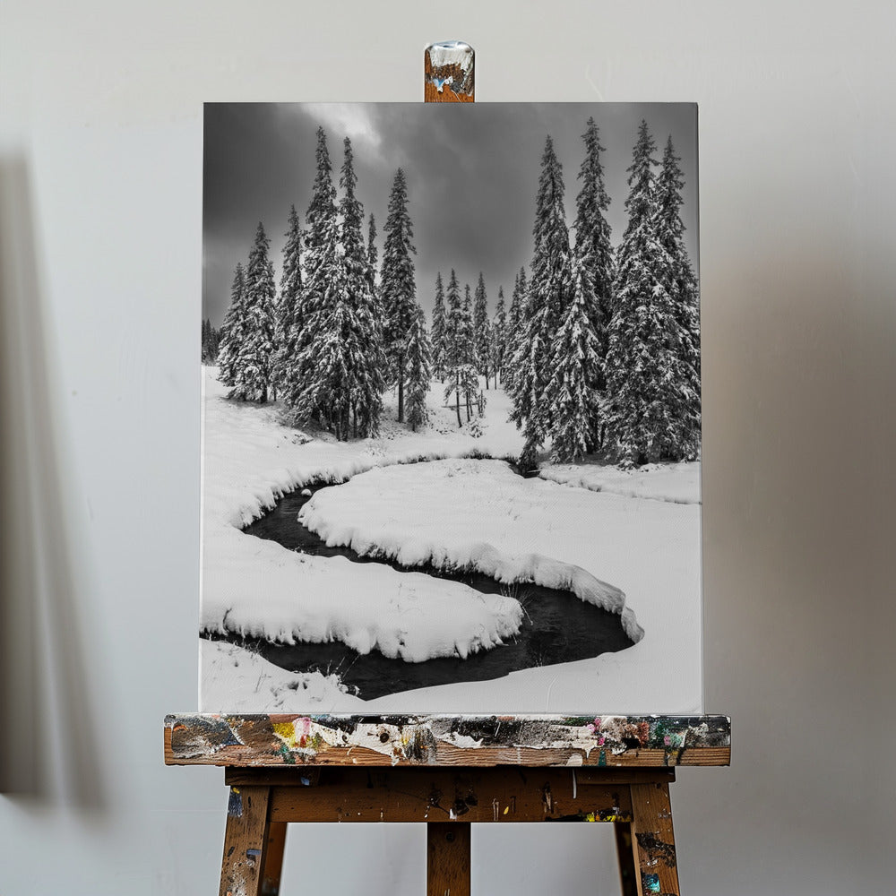 Erster Schnee | Leinwand-Bilder