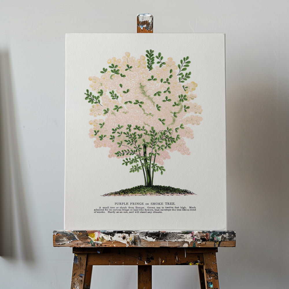 Purple Fringe Tree Lithograph | Canvas
