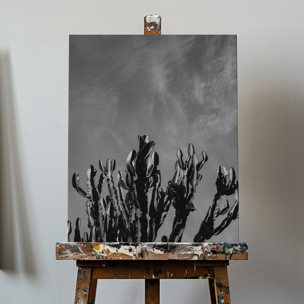 Ciel de cactus monochrome | Tableaux sur Toile