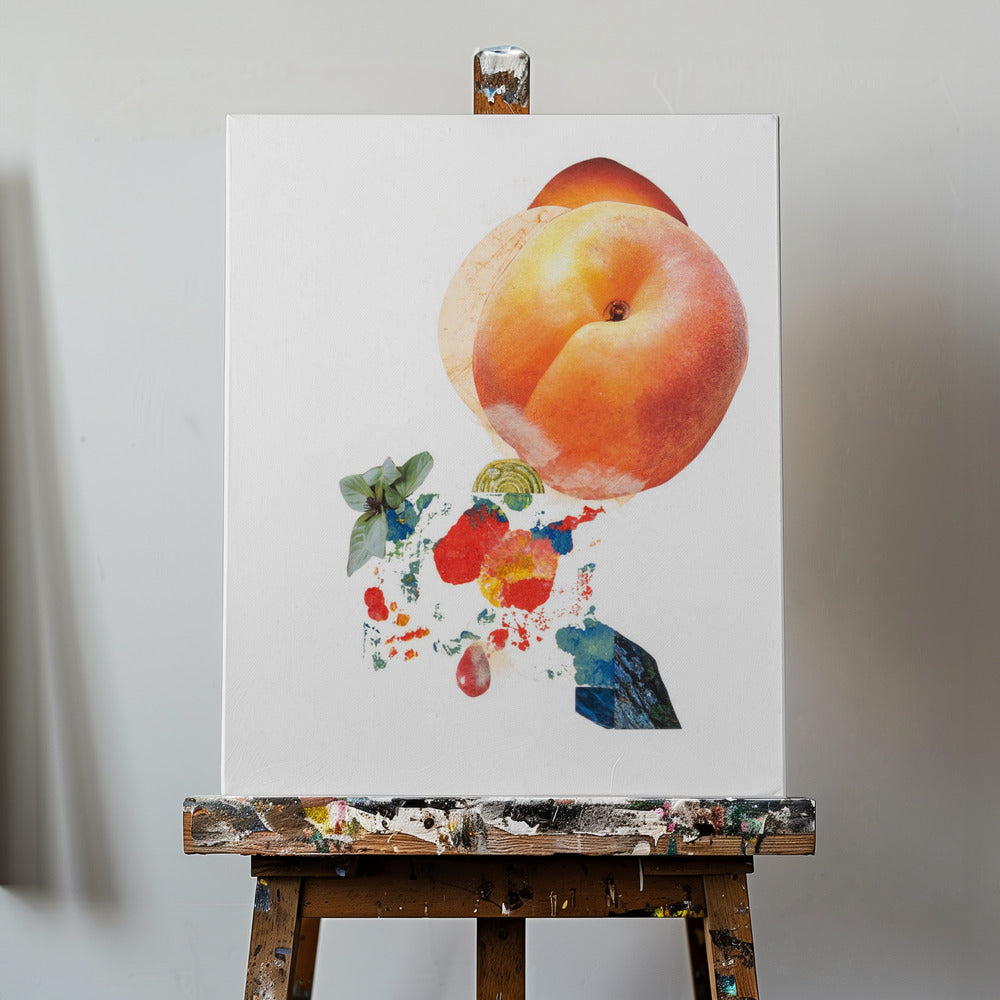 Momo_Montserrat Serra Nonell | Canvas