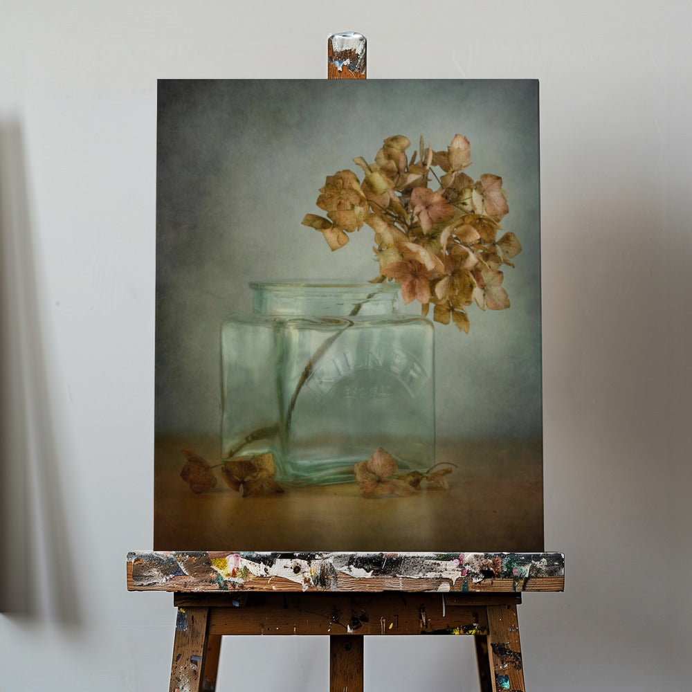 Hydrangea | Canvas