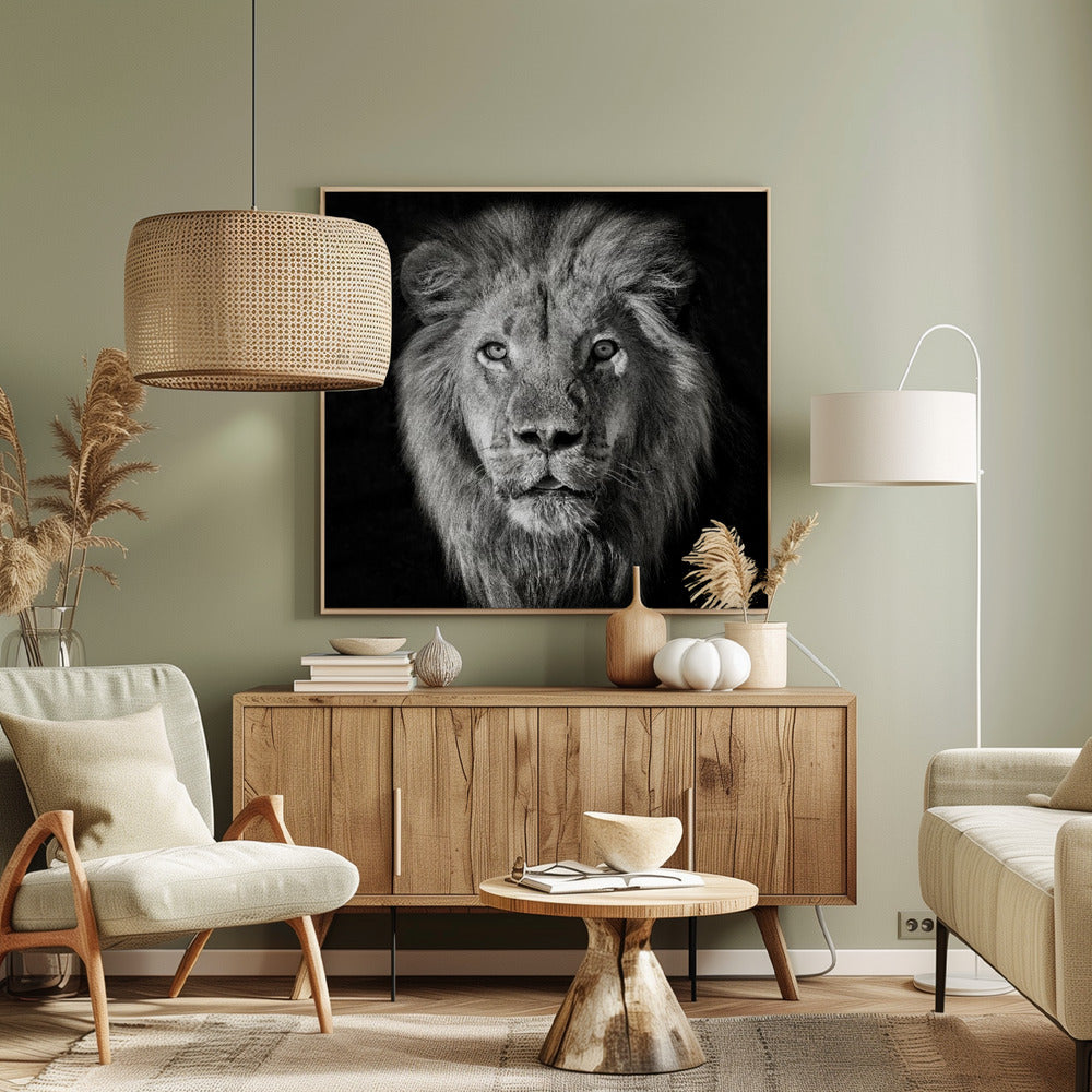 Leijonan muotokuva - Panthera Leo | Canvastaulut
