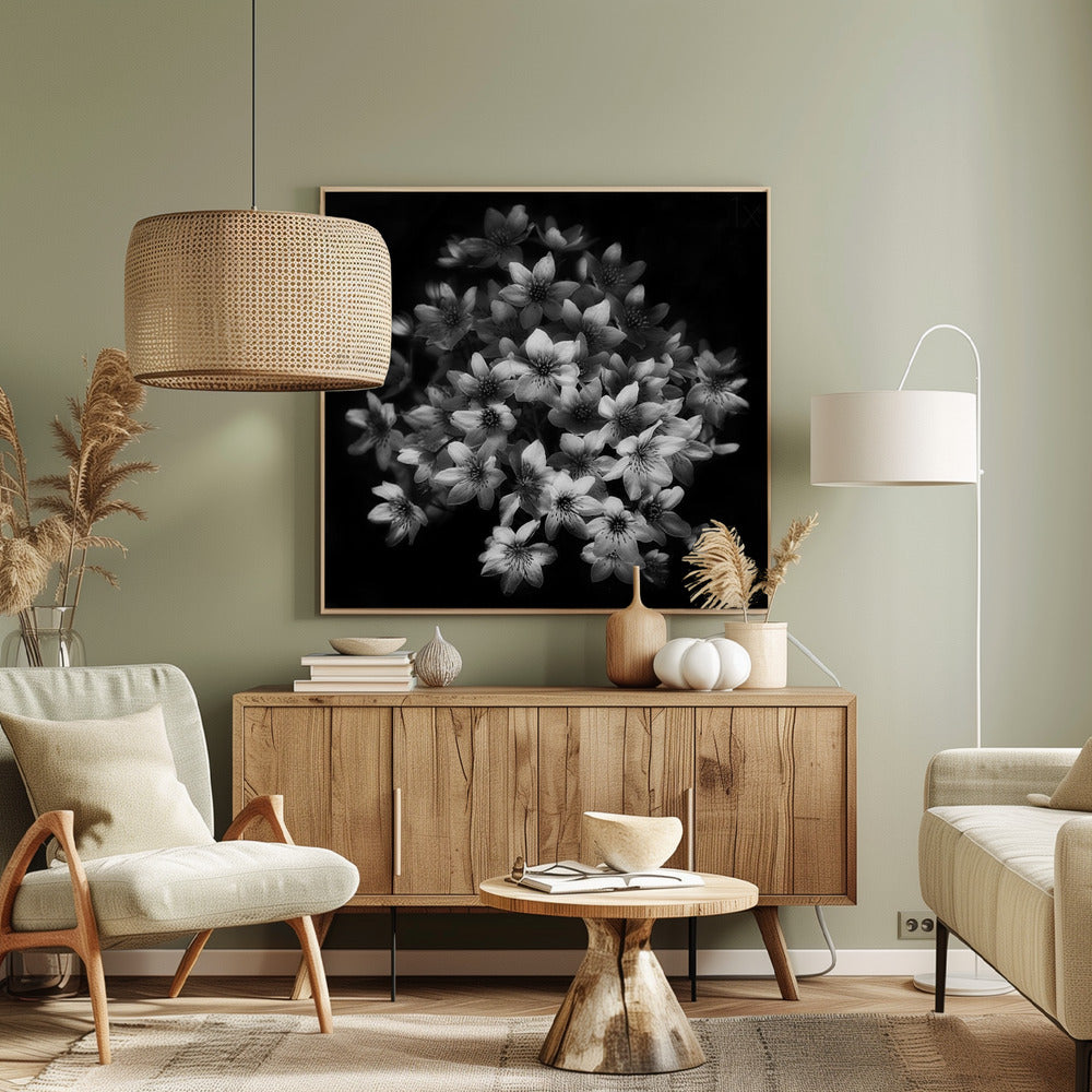 Frühe Sensation | Leinwand-Bilder