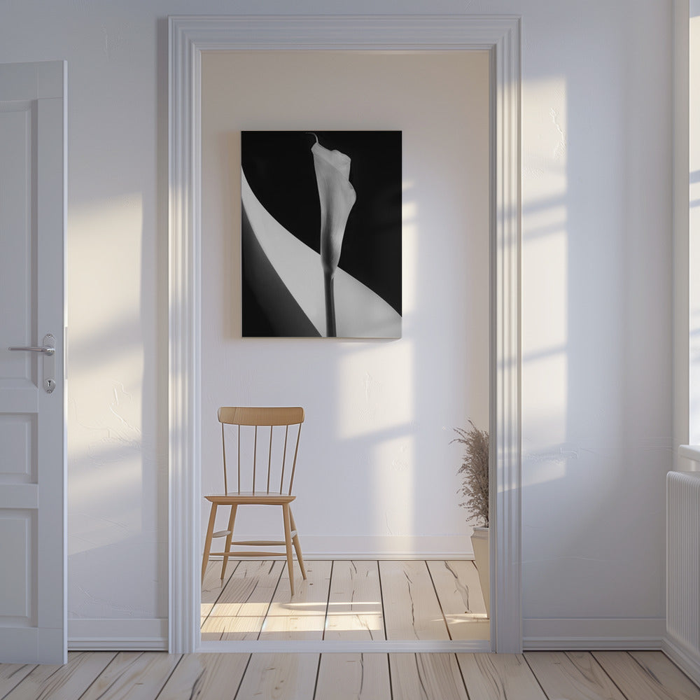 Calla lily | Canvas