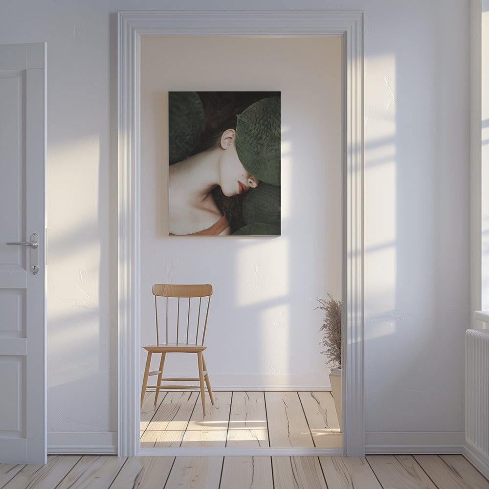 Vær | Lærredsbilleder