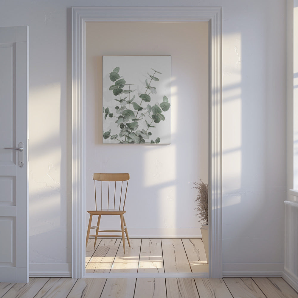 Eukalyptus Kreativ 16 | Lærredsbilleder