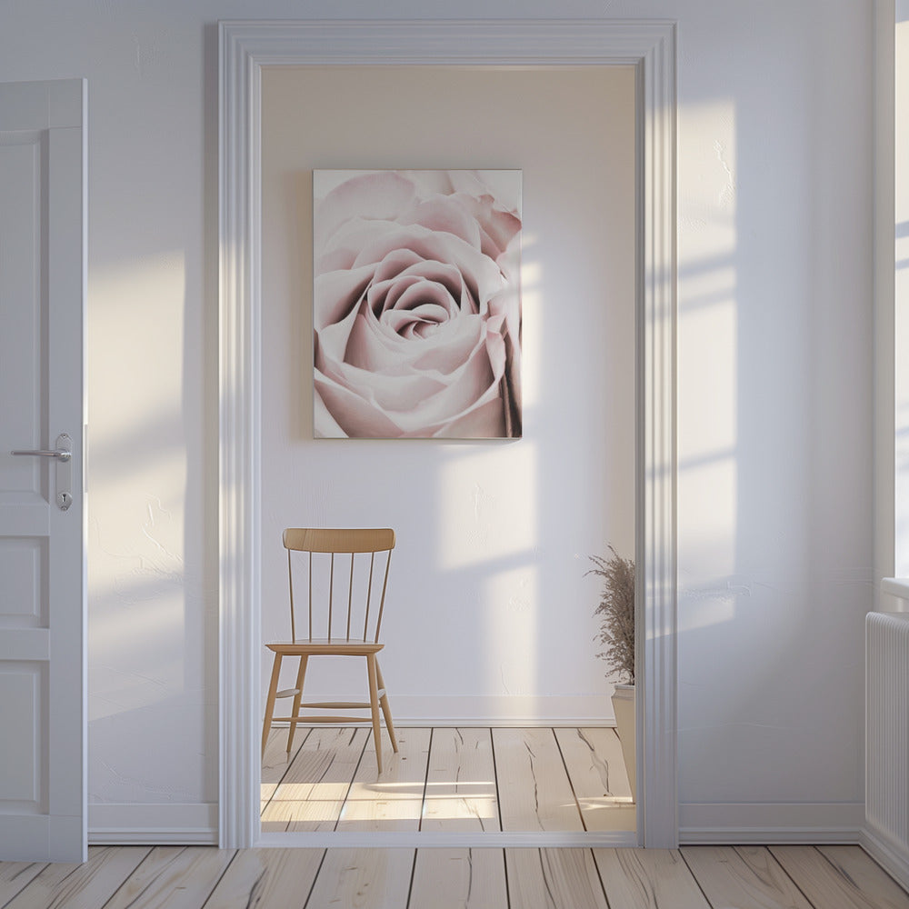 Pink Rose No 06 | Canvas