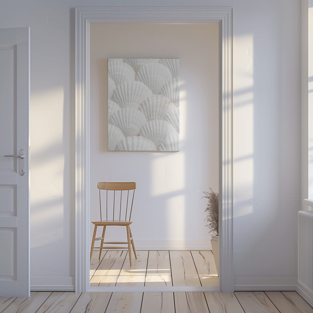 Shells_3 | Canvas