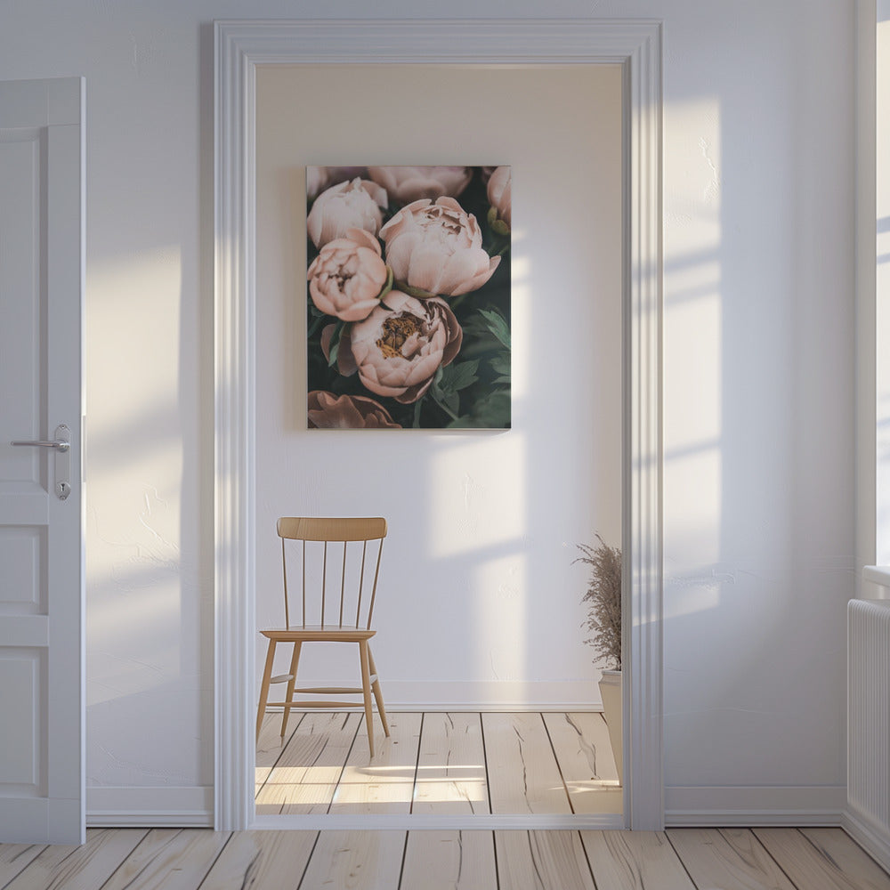Peonie corallo | Stampe su Tela