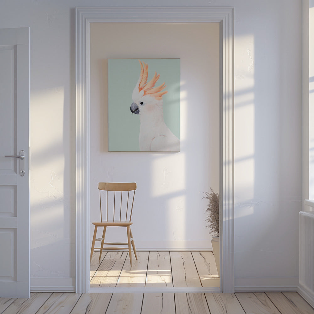 Cockatoo | Canvas