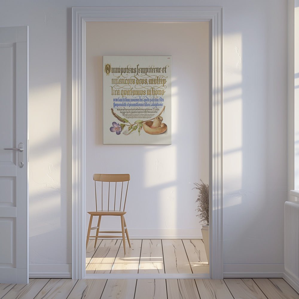 Champiñón Posters - Impresiones de Arte | Impresiones en Lienzo