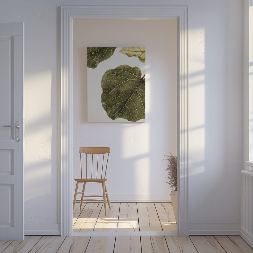 Abutifolia N°2 | Tableaux sur Toile