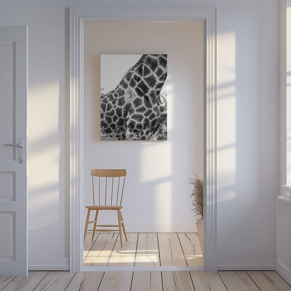 Super Safari n° 3 | Tableaux sur Toile