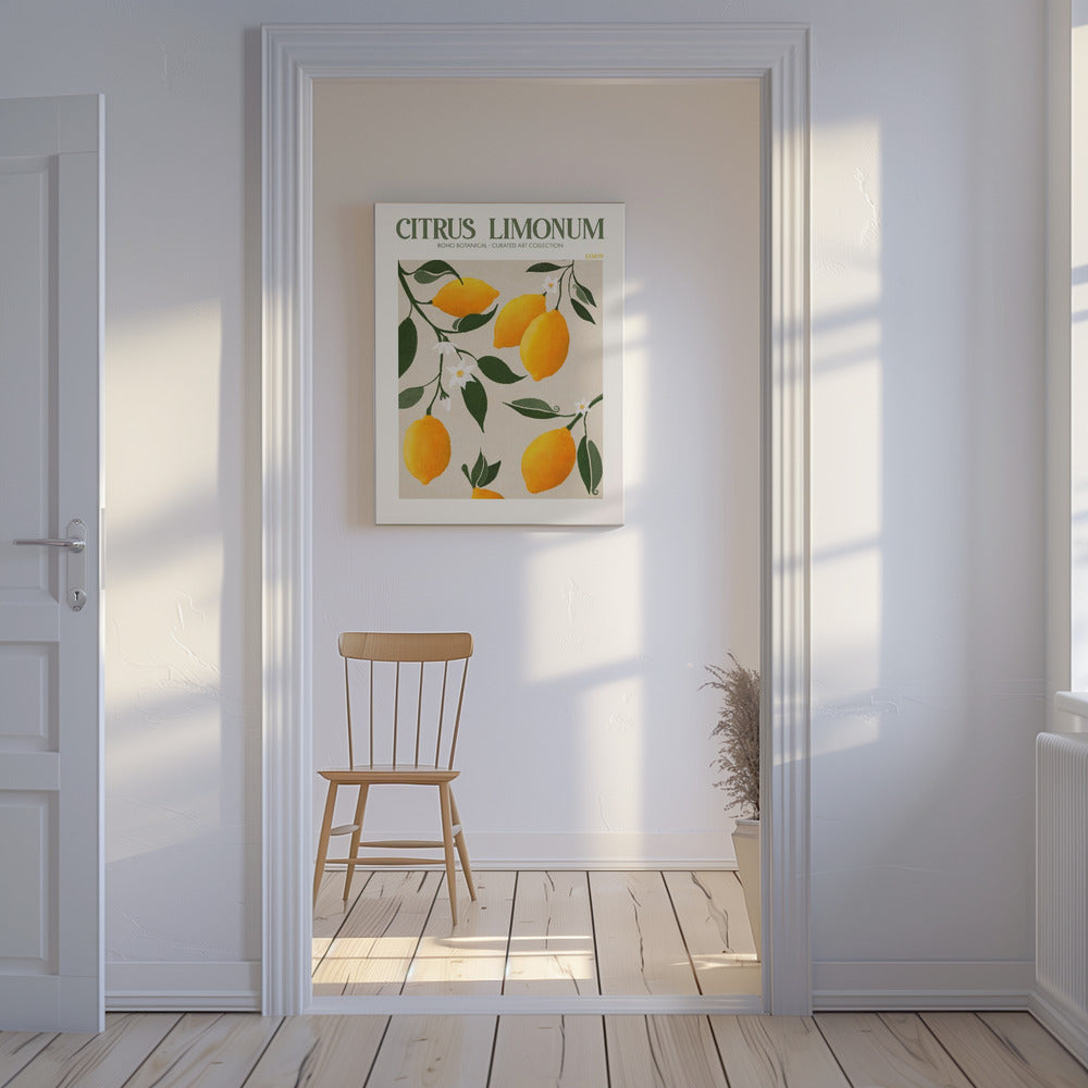 Citrus Limonum-Citron | Tableaux sur Toile