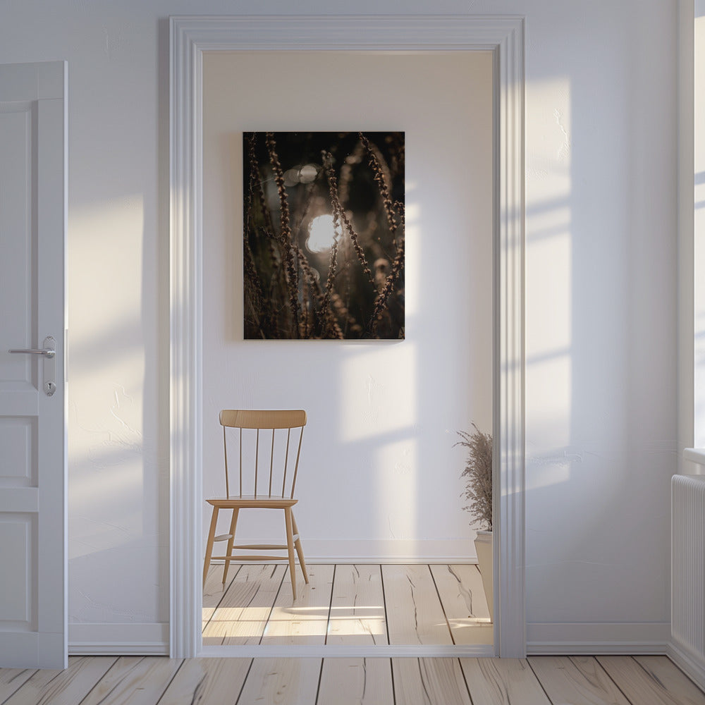 Herfstverlichting 2 | Canvasprints