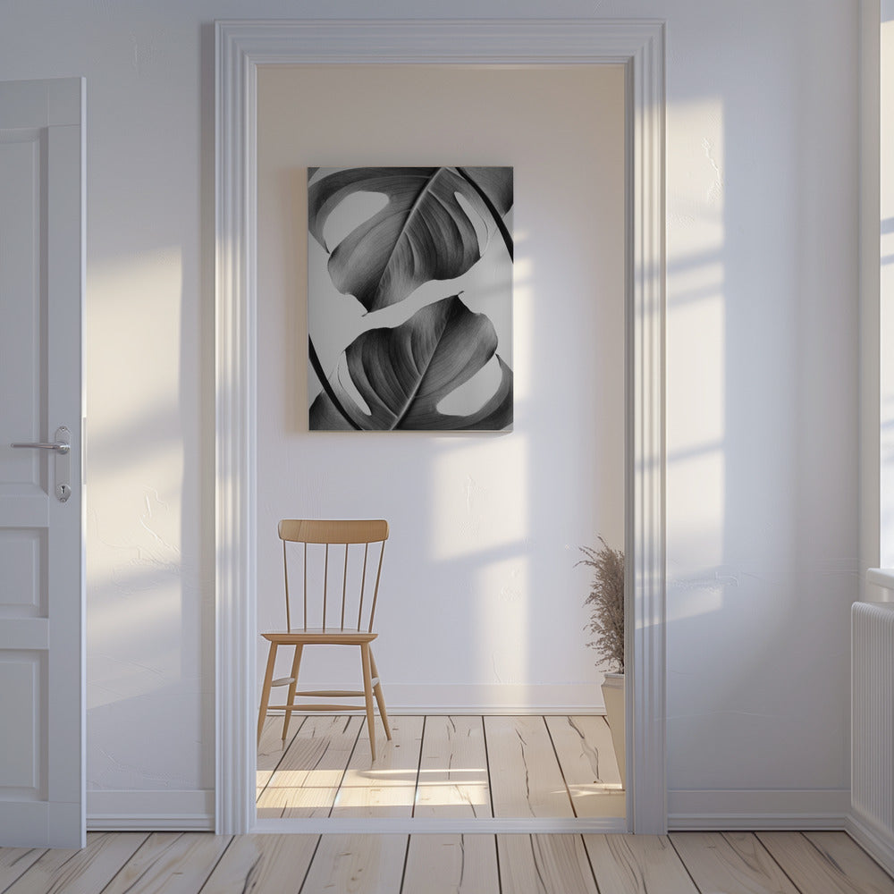 Monstera Monochrom | Leinwand-Bilder