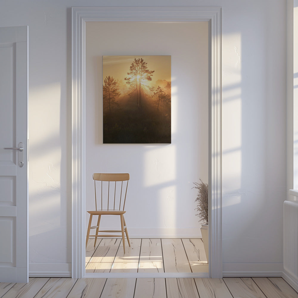 20220809 Dsf8009 Hdr 1 | Lærredsbilleder