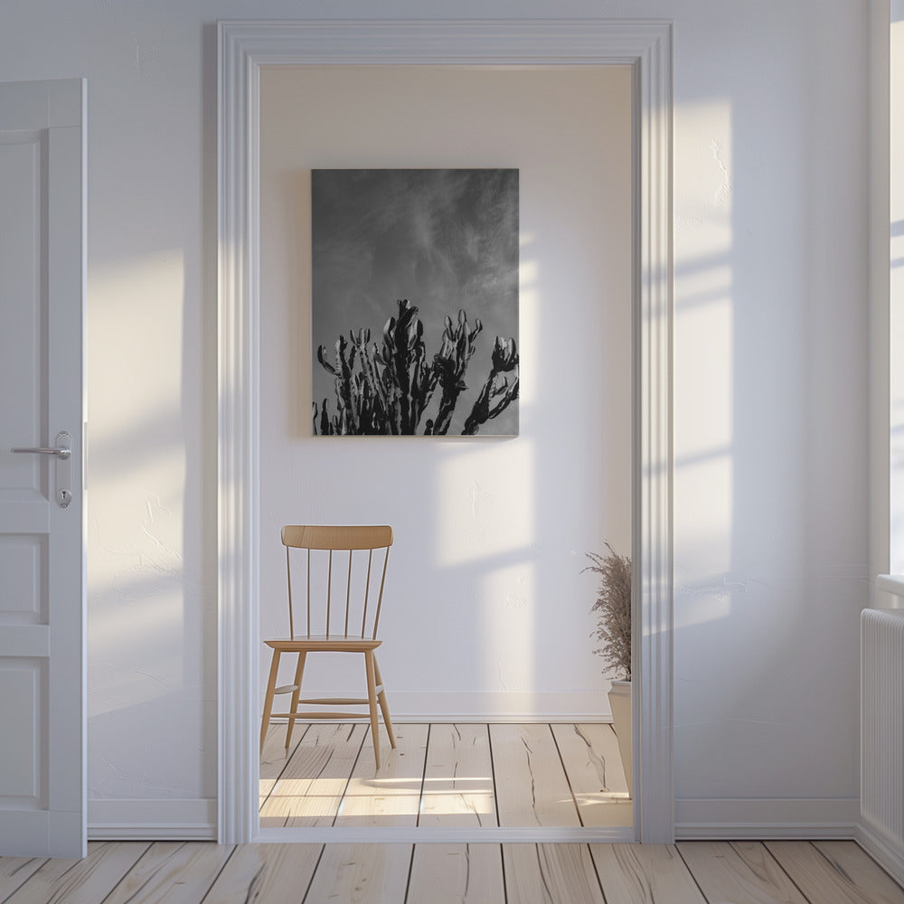 Ciel de cactus monochrome | Tableaux sur Toile