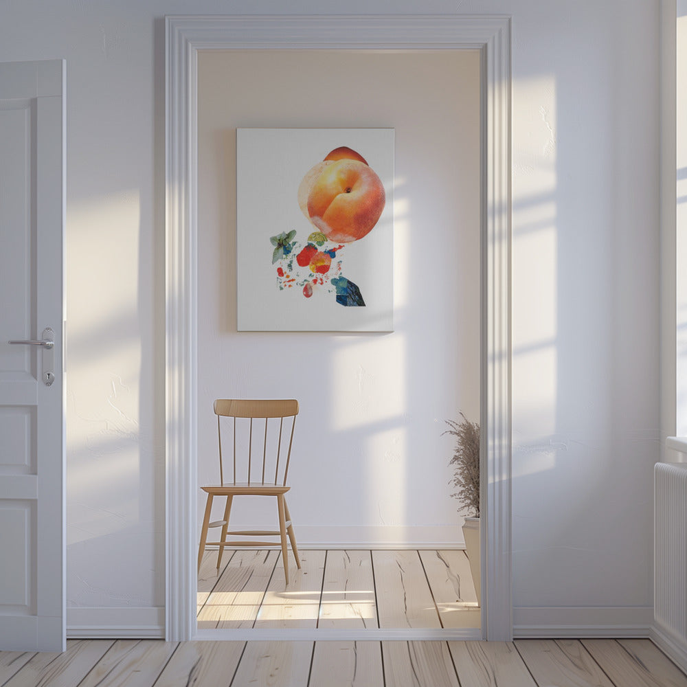 Momo_Montserrat Serra Nonell | Canvas