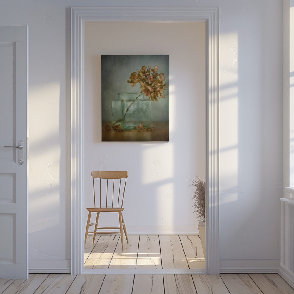 Hydrangea | Canvas