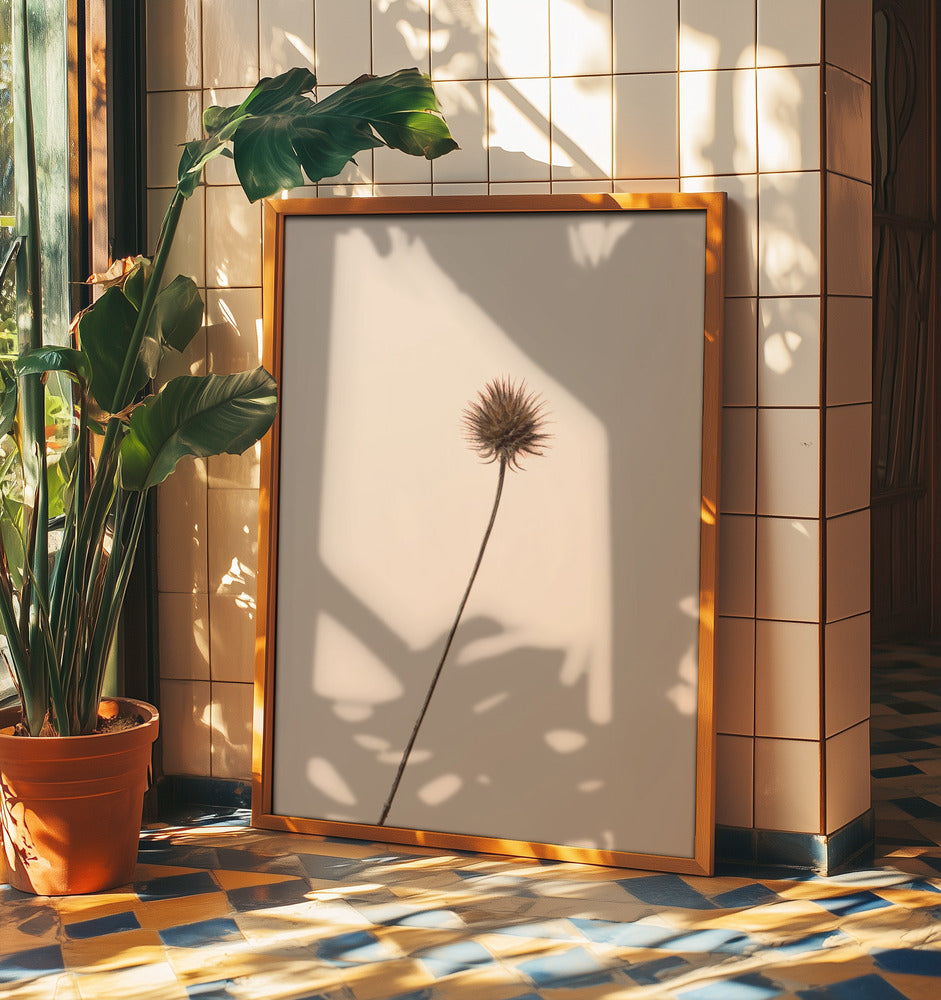 Thistle Peach | Poster