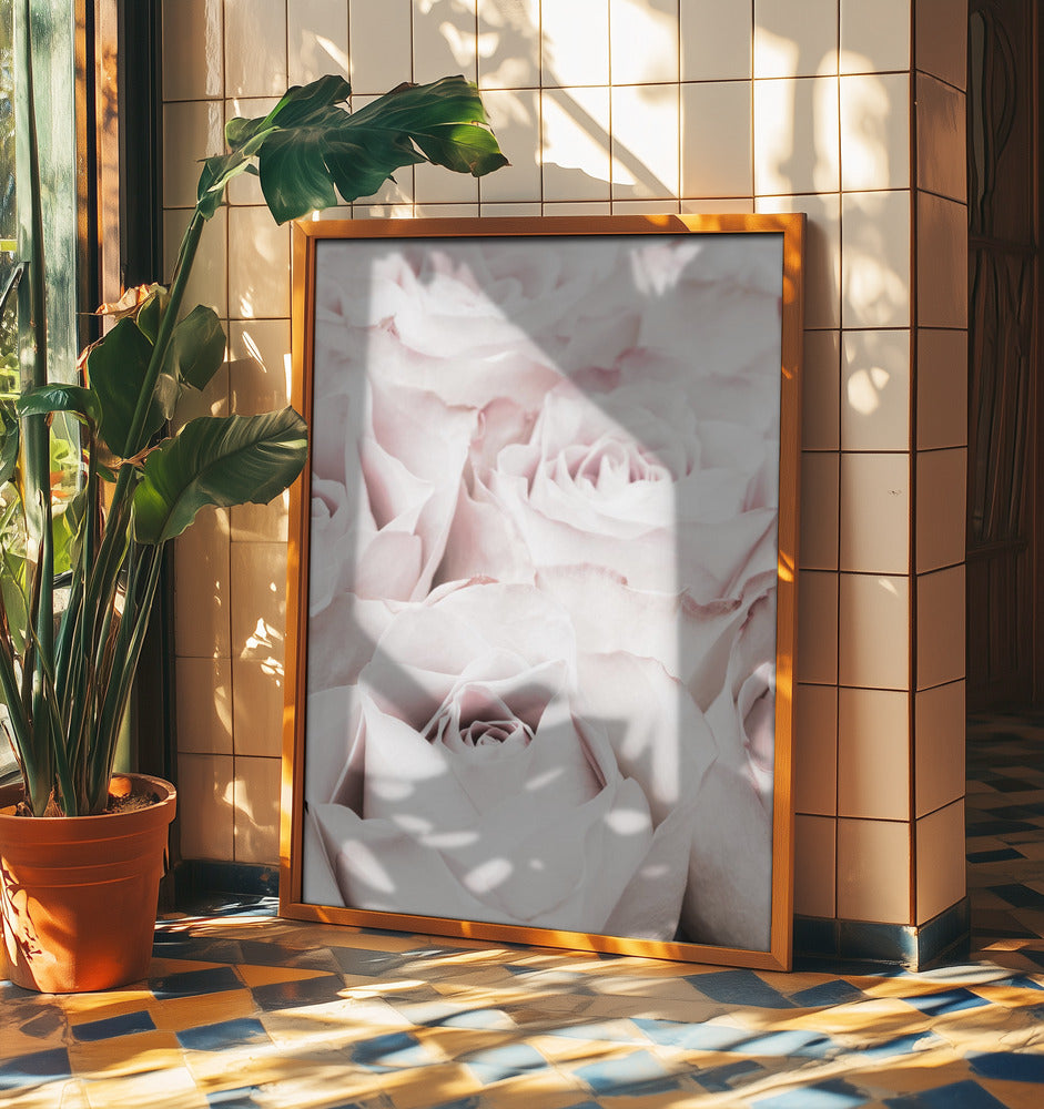 Pink Roses No 04 | Poster