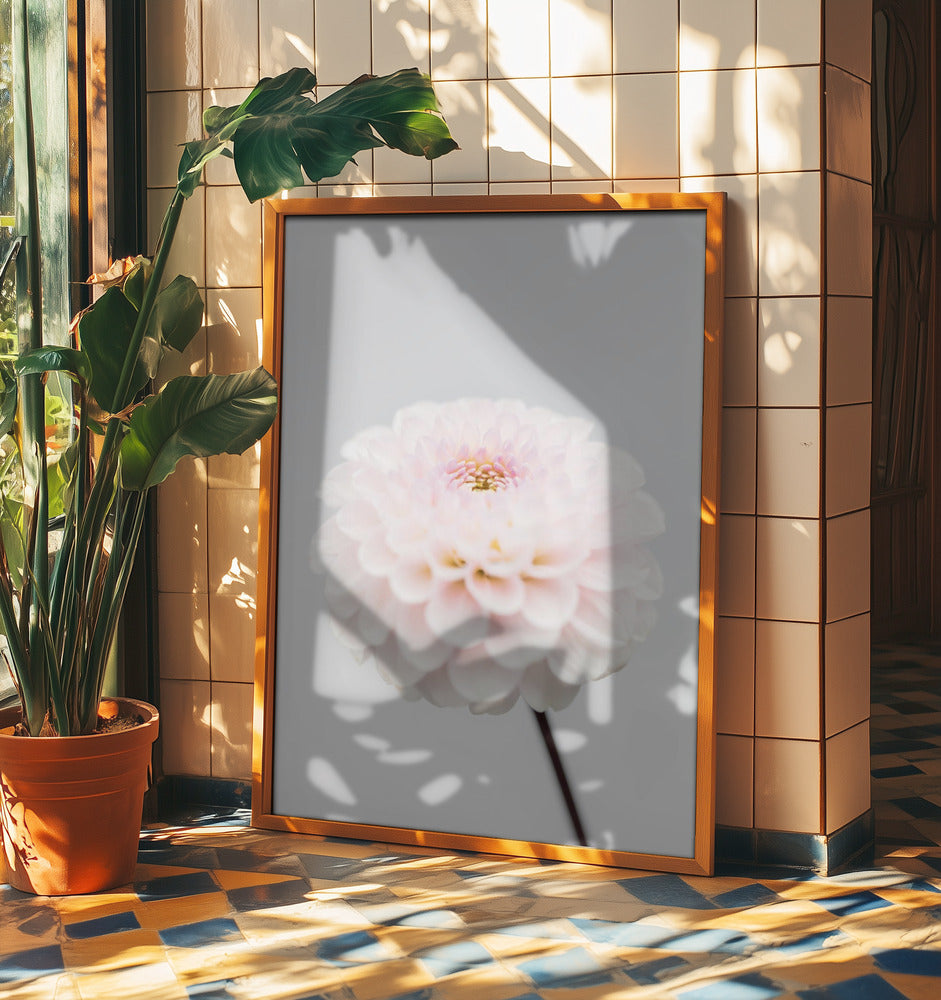 Pink Flower No3 | Poster