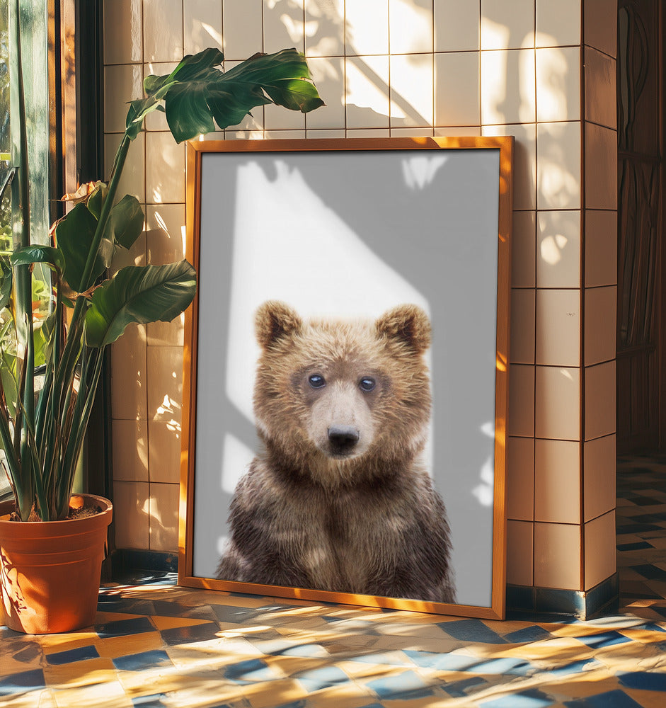 Babybär | Poster - Kunstdruck
