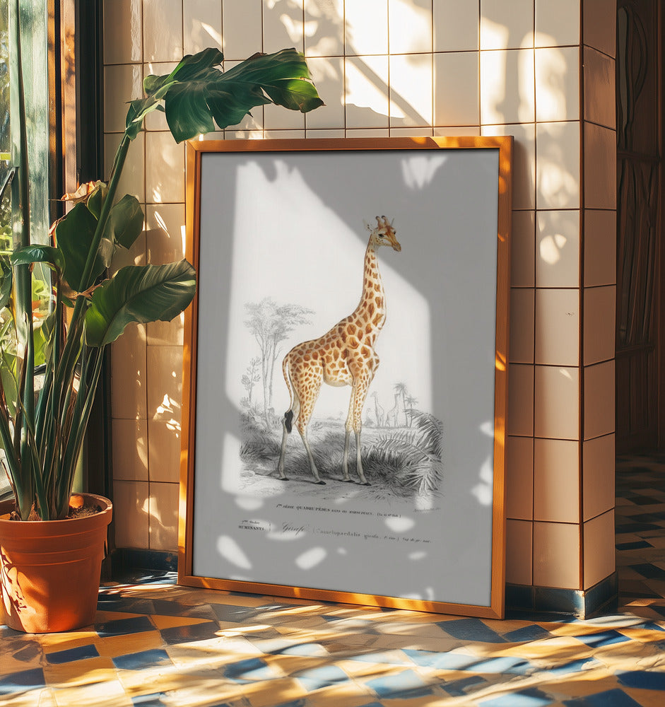 Giraffe | Poster