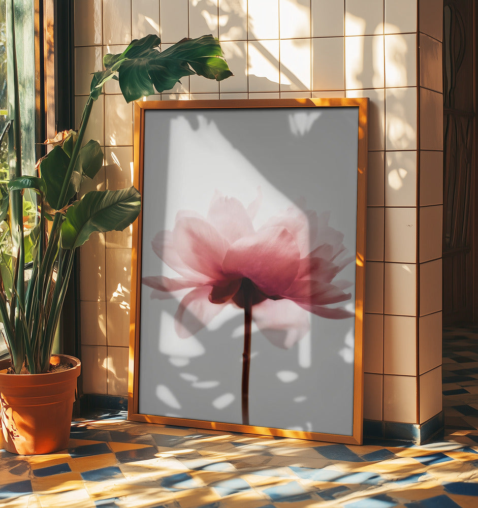 Pink Peony | Poster