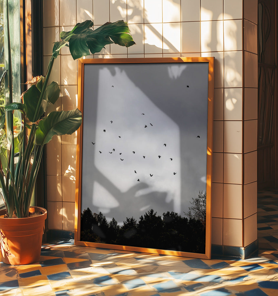 Birds and Clouds 1 | Poster
