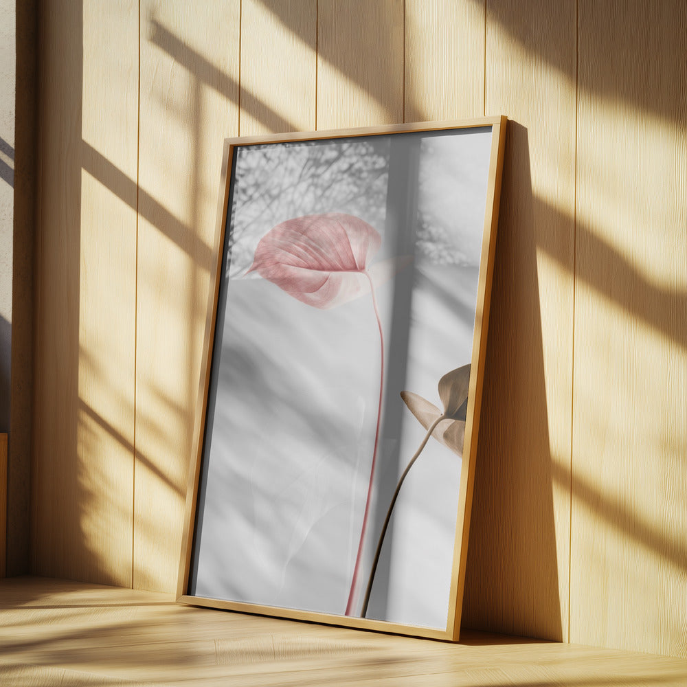 Monstera Creative 21 | Poster