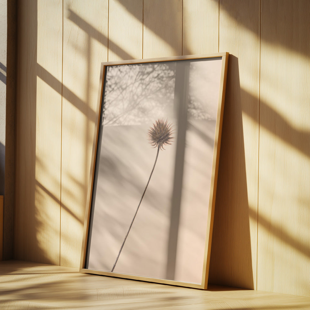 Thistle Peach | Poster