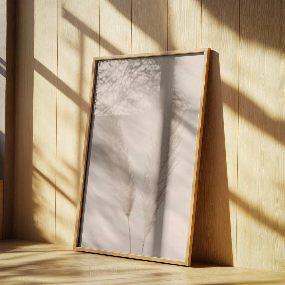 Pampas Grass Beige 01 | Poster