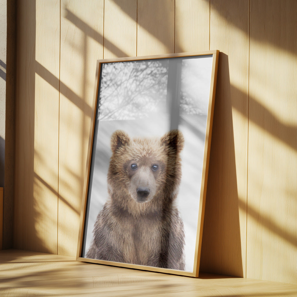 Babybär | Poster - Kunstdruck