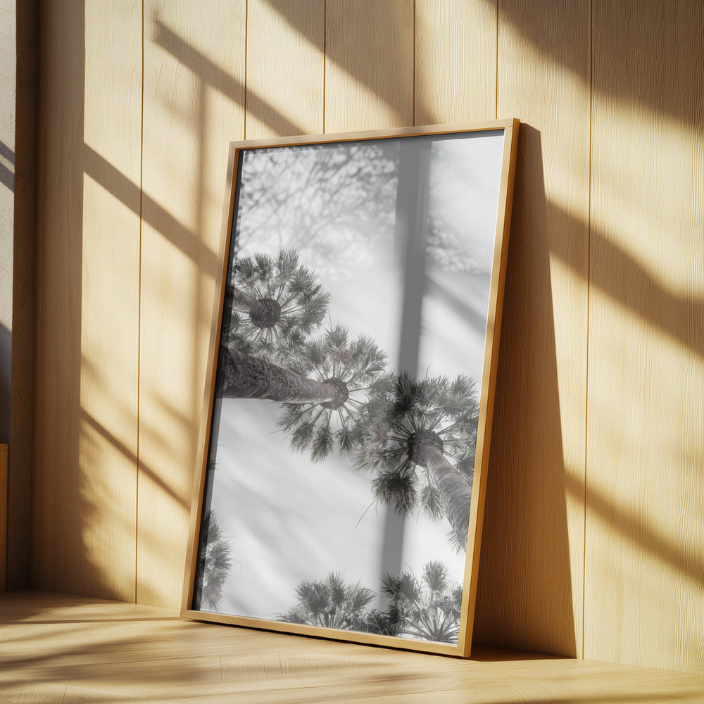 Skyward Palms | Poster
