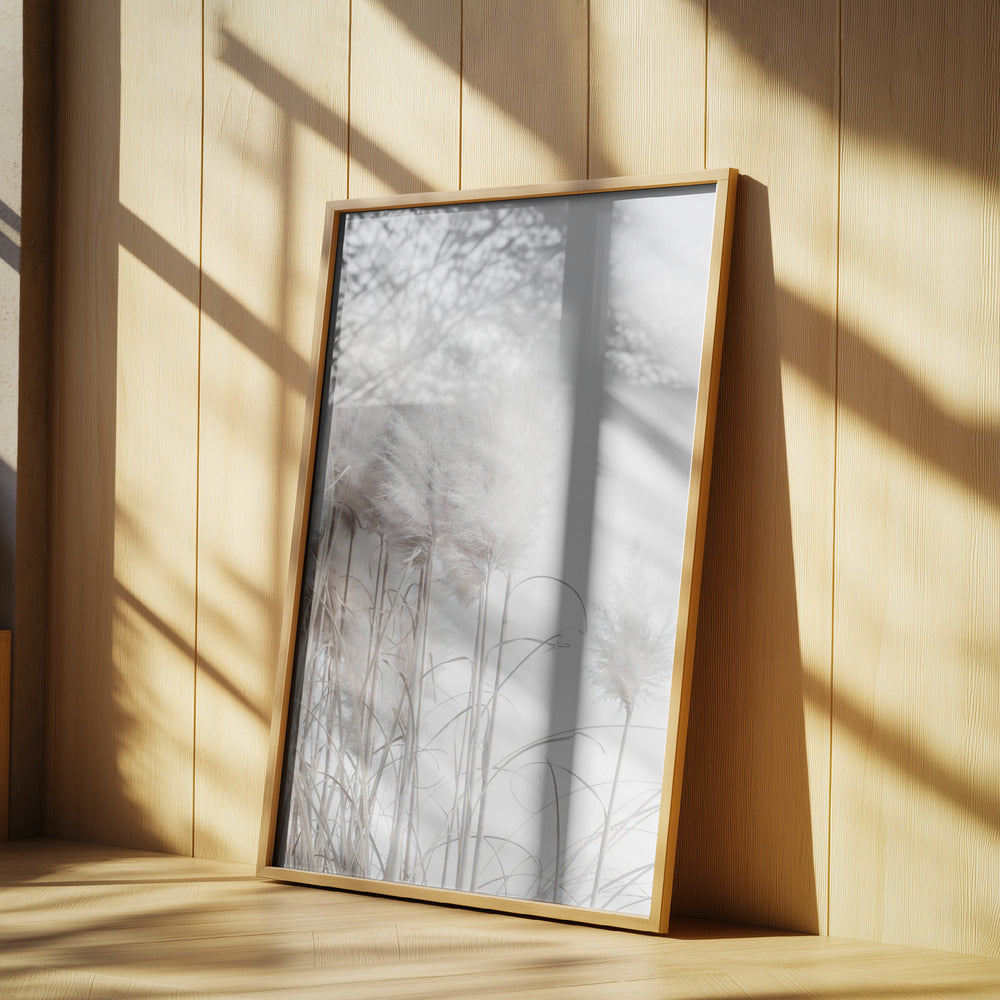 Pampas Grass I | Poster