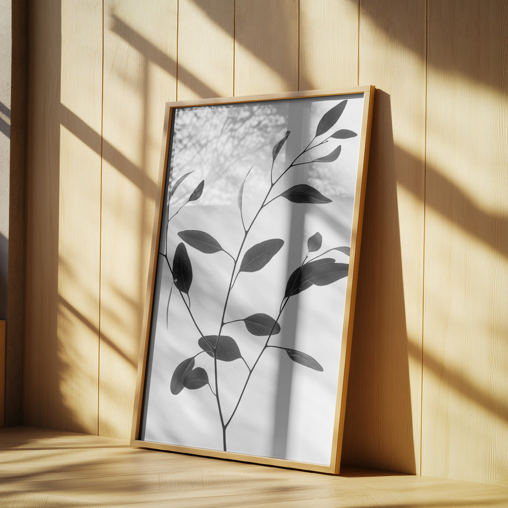 Delicate Branch | Poster