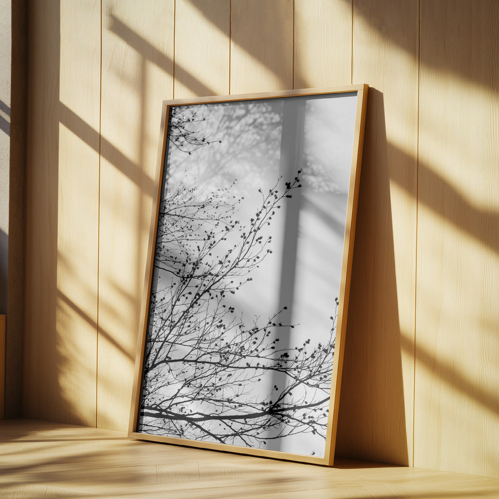 Winter Silhouettes 7 | Poster