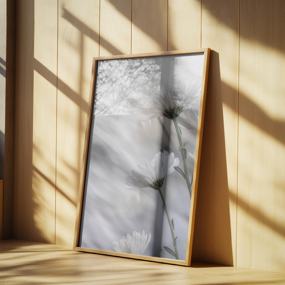 Blurred Flowers 8 | Poster