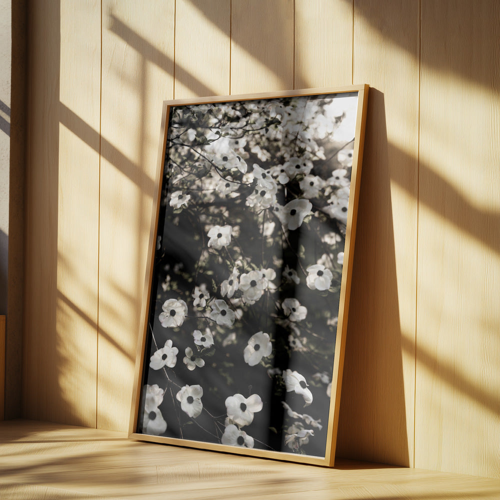 White Spring Tree 5 | Poster