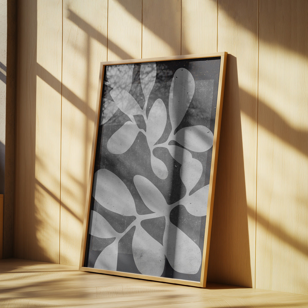 Shapes in Contrast | Poster