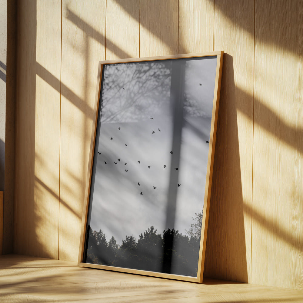 Birds and Clouds 1 | Poster
