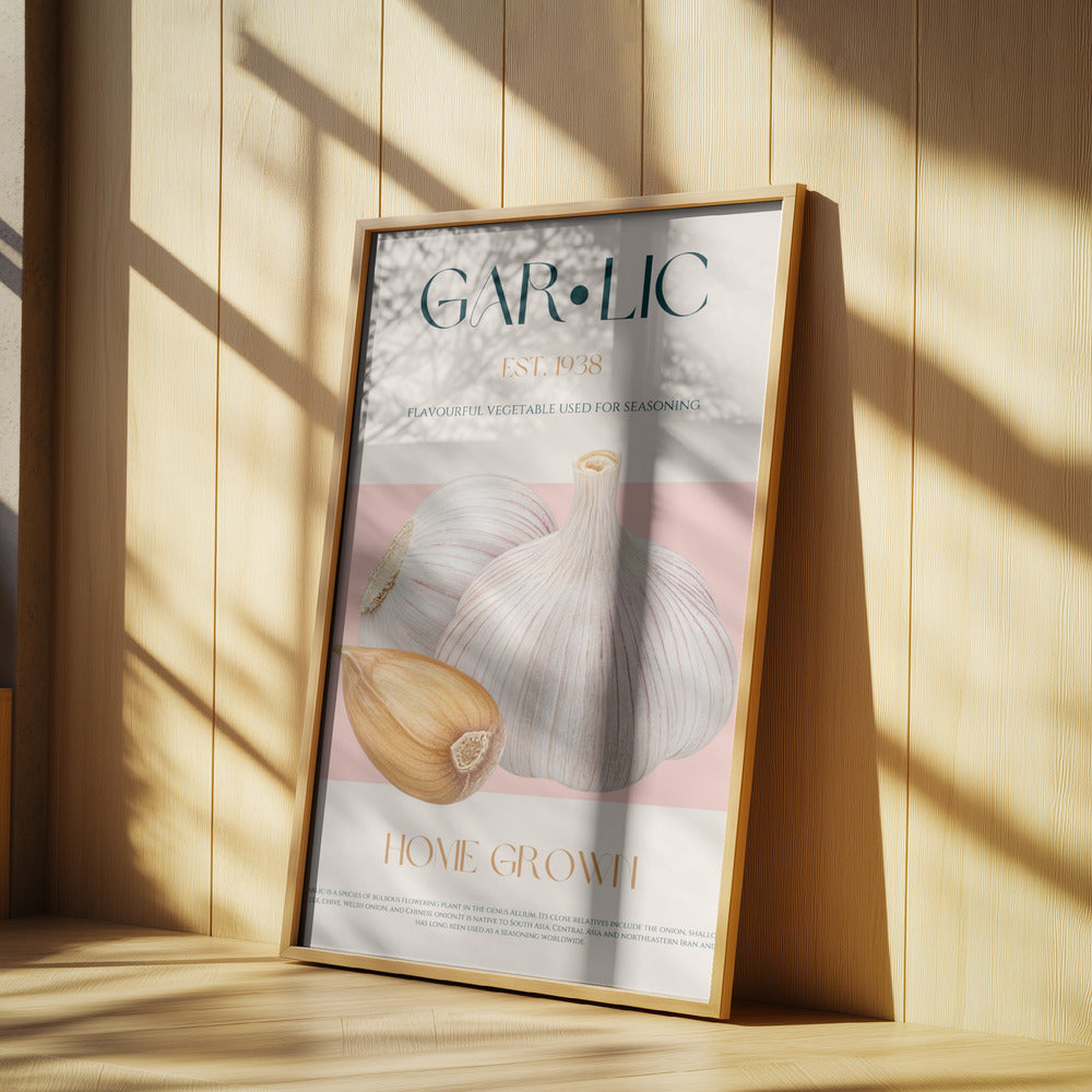 Vitlöksessens | Poster