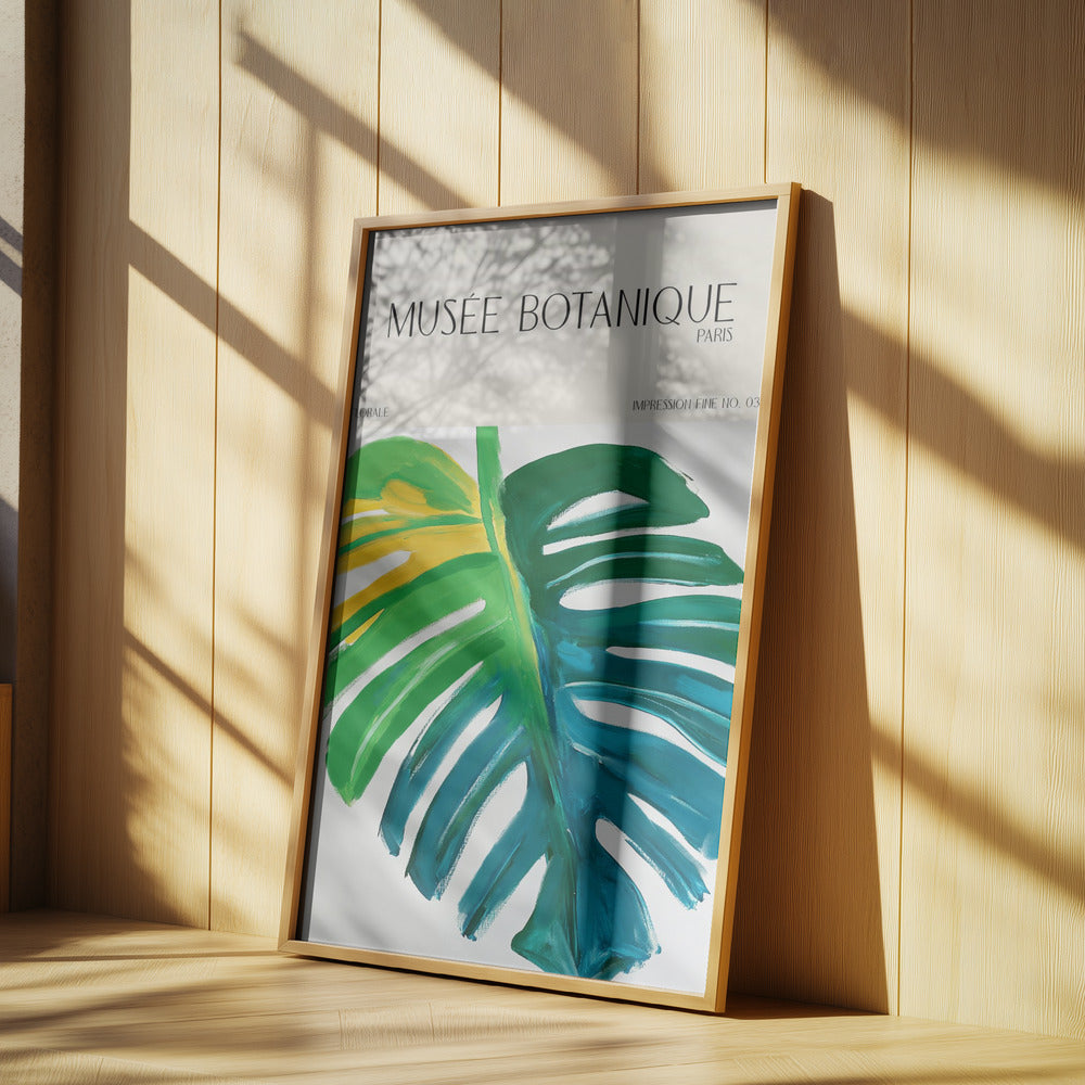 Museebotaniqueno07 | Poster