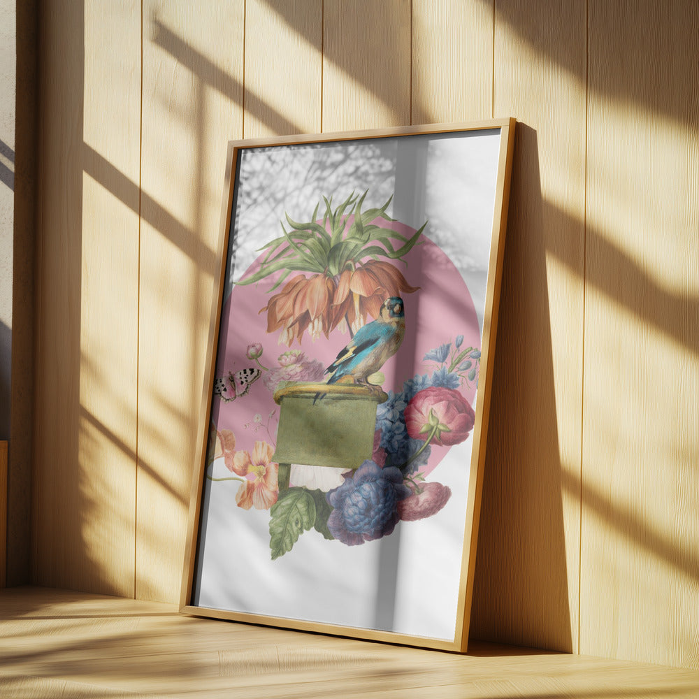 Bunter Vogel auf einer Kiste | Poster