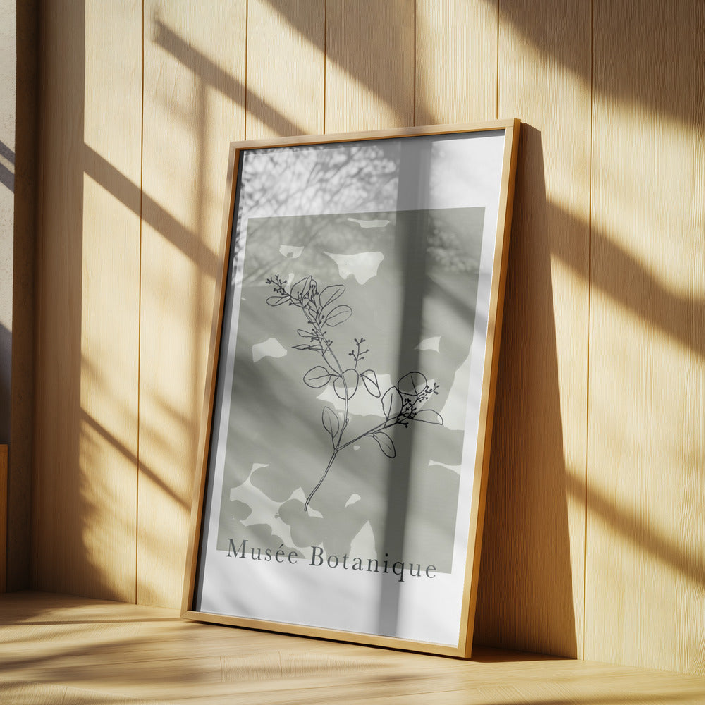 Abstractbotanicsno16 | Poster