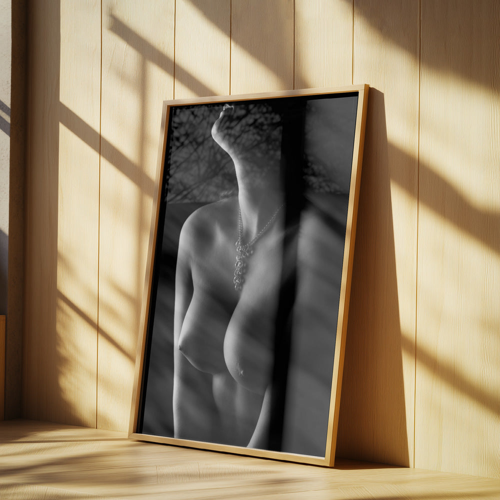 Nude curves | Poster