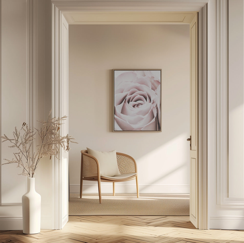 Pink Rose No 06 | Poster