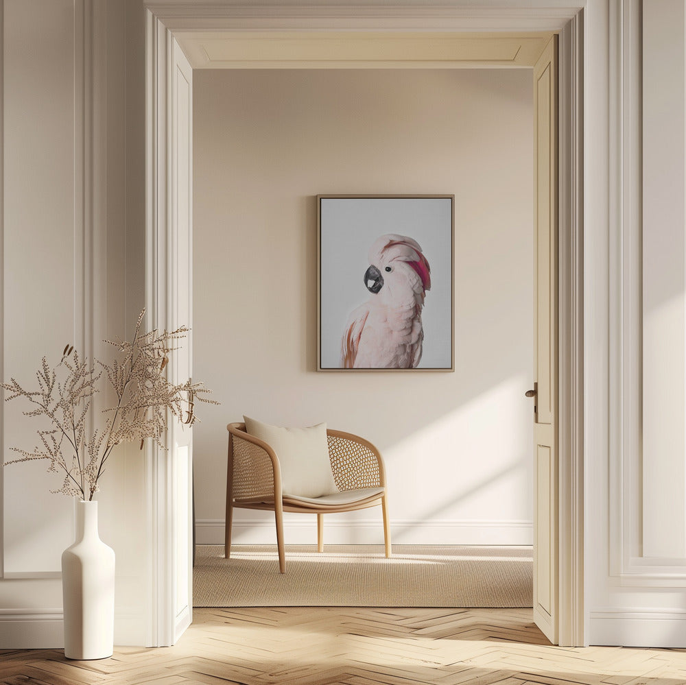 Cacatoès rose | Posters - Affiche Artistique